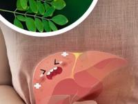 शेवगा म्हणजे आरोग्यासाठी वरदान, भरपूर आयुष्याची हमी! शेवगा खाण्याचे फायदे माहिती नसल्यानेच होतोय घोळ - Marathi News | Health Benefits of Moringa, According to Nutritionists | Latest sakhi Photos at Lokmat.com