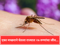 एका मच्छराने घेतला राज्यात २७ रुग्णांचा जीव, सार्वजनिक आरोग्य विभागाकडून आकडेवारी जारी - Marathi News | World Malaria Day: Rising Cases in Maharashtra Pose Challenge to Health Authorities; Over 23,000 Infections and 27 Deaths Reported Last Year | Latest mumbai News at Lokmat.com