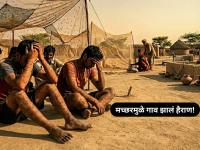 धक्कादायक! कोणीही मुली देईना, मच्छरांच्या त्रासामुळे 'या' गावातील मुलांचं लग्नच जमेना - Marathi News | rajkot residents of veja village troubled due to mosquitoes people are panic | Latest national News at Lokmat.com