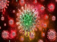 आधी कोरोना, आता मंकीपॉक्सचा धोका... नॉनव्हेजमुळे जीवघेणे आजार पसरतात का? - Marathi News | monkeypox virus infection causes zoonotic diseases statistics nonveg diet spread diseases | Latest health Photos at Lokmat.com