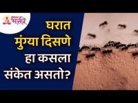 घरात मुंग्या दिसणे हा कसला संकेत असतो? What is the sign of ants in the house? | Lokmat Bhakti