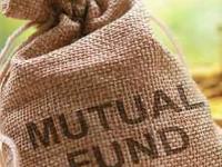 वर्षभरात दिलाय ३३ टक्क्यांपर्यंत रिटर्न, कोणत्या Mutual Fund नं दिले बेस्ट रिटर्न्स, कोणती आहेत सेक्टर्स? - Marathi News | Returns up to 33 percent in a year which mutual fund has given the best returns which are the sectors hdfc pharma motilal oswal small cap fund | Latest business Photos at Lokmat.com