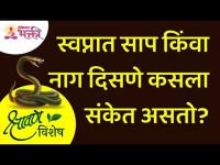 श्रावण विशेष | स्वप्नात साप किंवा नाग दिसणे कसला संकेत असतो? Nagpanchami Special | Lokmat Bhakti