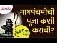 श्रावण विशेष : नागपंचमीची पूजा कशी करावी? NagPanchami 2021 | Lokmat Bhakti