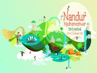 नांदूरमध्यमेश्वर : नाशिकमध्ये पक्षी निरिक्षणासाठी ‘बर्ड फेस्टिव्हल’ची पर्वणी - Marathi News | Nanduramadhyameshwar: The festival of 'Bird Festival' for bird watching in Nashik | Latest nashik Photos at Lokmat.com