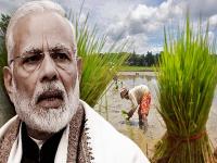 PM Kisan : 10.75 कोटी शेतकऱ्यांना मिळाले 1.15 लाख कोटी रुपये; पुढील हप्त्यांसाठी पटकन करा रजिस्ट्रेशन! - Marathi News | pm kisan samman nidhi 10 point 75 crore farmers have received 1 point 15 lakh crore rupees pm kisan registration | Latest business Photos at Lokmat.com
