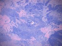 पृथ्वीचे अंतराळातून काढलेले इतके अद्भूत फोटो तुम्ही कधी पाहिले नसतील! - Marathi News | NASA has shared images of earth taken from the international space station | Latest social-viral Photos at Lokmat.com