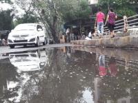 ठाणे जिल्ह्याच्या विविध भागात अचानक पावसाने लावली हजेरी, रस्ते झाले ओलेचिंब - Marathi News | Sudden rain is observed in different areas of Thane district, roads are wetting | Latest thane Photos at Lokmat.com