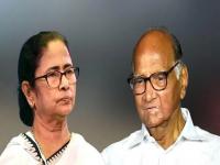 एखाद्या राजकीय पक्षाचा राष्ट्रीय दर्जा काढल्यानंतर काय होतं नुकसान? जाणून घ्या - Marathi News | What is the loss after removing the national status of a political party? know about | Latest national Photos at Lokmat.com