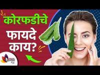 कोरफडीचे फायदे तुम्हाला माहित आहेत का? | aloe vera benefits for skin | कोरफडीचे स्किनसाठी फायदे