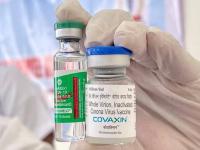 Corona Vaccination: कोविशील्ड लस घेतलेल्यांना मोठा दिलासा; कोवॅक्सिन घेतलेल्यांच्या अडचणीत वाढ - Marathi News | covishield only india made vaccine cleared for travel to america for now | Latest national Photos at Lokmat.com