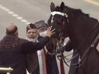 Republic Day, Horse Virat: पंतप्रधान मोदी राजपथावर 'त्या' घोड्याला पाहून नेमके का खूश झाले? वाचा... - Marathi News | Republic Day Horse Virat The Bodyguard Of President Of India Retires From Service | Latest national Photos at Lokmat.com