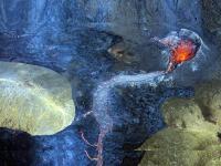 Iceland च्या ज्वालामुखीनं उघडला पृथ्वीचा दरवाजा; हे फोटो एकटक पाहातच राहाल...! - Marathi News | iceland volcano fagradalsfjall eruption opens a rare door into earth below our feet | Latest international Photos at Lokmat.com