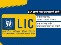 LIC मध्ये करा फक्त ४ तास काम अन् दरमहा ७५ हजारापर्यंत कमवा; कसं जाणून घ्या... - Marathi News | earn with lic become an agent and earn upto 75 thousand per month | Latest business Photos at Lokmat.com
