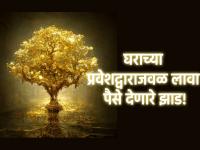 Vastu Tips: घरच्या मुख्य दरवाजाजवळ 'ही' तीन रोपे लावल्याने कुबेर देव होतात प्रसन्न! - Marathi News | Vastu Tips: Planting these three plants near the main door of the house pleases Lord Kuber! | Latest bhakti Photos at Lokmat.com