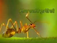 Vastu Shastra: घरात येणाऱ्या लाल-काळ्या मुंग्यादेखील देतात शुभ अशुभ वार्तेचे संकेत; कसे ते जाणून घ्या - Marathi News | Vastu Shastra: Red-black ants entering the house also indicate good or bad news; Learn how | Latest bhakti Photos at Lokmat.com