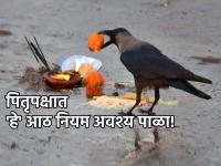 Pitru Paksha 2023: पितृपक्षात श्राद्धविधीबरोबरच 'हे' आठ नियम पाळणेही धर्मशास्त्राच्या लेखी बंधनकारक! - Marathi News | Pitru Paksha 2023: In Pitru Paksha, along with Shraddha rituals, following 'these' eight rules are also mandatory in scriptures! | Latest bhakti Photos at Lokmat.com