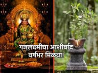 Pitru Paksha 2023: आज गजलक्ष्मीच्या पूजेनिमित्त तुळशीच्या बाजूला लावा 'ही' रोपं; वर्षभर होईल भरभराट! - Marathi News | Pitru Paksha 2023: Plant 'these' plants beside Tulsi today for the worship of Gajalakshmi; It will be prosperous throughout the year! | Latest bhakti Photos at Lokmat.com