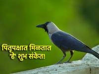 Pitru Paksha 2024: पितृ पक्षात मिळणारे शुभ संकेत 'असे' ओळखा आणि भविष्याची आखणी करा! - Marathi News | Pitru Paksha 2024: Know the Auspicious Signs of Pitru Paksha 'Like this' and Plan Your Future! | Latest bhakti Photos at Lokmat.com