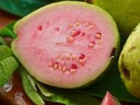 Winter Food: हिवाळ्यात गुलाबी पेरू खा; बिया ना दातात अडकणार, ना रक्तातील साखर वाढवणार! - Marathi News | Winter Food: Eat pink guava in winter; the seeds will neither get stuck in your teeth nor increase blood sugar! | Latest sakhi Photos at Lokmat.com