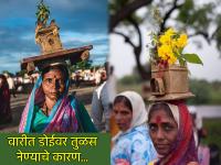 Ashadhi Wari 2025: दिंडीतून जाताना वारकरी महिला डोईवर तुळशी वृंदावन नेतात; पण का? वाचा! - Marathi News | Ashadhi Wari 2025: While passing through Dindi, Warkari women carry Tulsi on their heads to Vrindavan; But why? Read! | Latest bhakti Photos at Lokmat.com