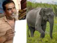 जे बात!...म्हणून त्यानं सगळी संपत्ती दोन हत्तींच्या नावावर केली, रक्ताचे नातलगच झाले वैरी! - Marathi News | Man from Bihar declare his property to his two elephants | Latest jarahatke Photos at Lokmat.com