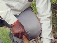 रतन टाटांच्या पावलावर पाऊल? माळीबुवाच्या नावावर केली ५० हजार कोटींची संपत्ती - Marathi News | hermes heir nicolas puech promised to leave half his fortune to his gardener | Latest business Photos at Lokmat.com