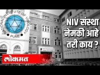 NIV संस्था नेमकी आहे तरी काय?
