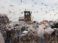 हात-पाय बांधले, हत्या केली अन् चेहरा जाळला; नोएडातील डंपिंग ग्राऊंडवर तरुणीचा छिन्नविच्छिन्न देह सापडला! - Marathi News | The height of cruelty! The body of a young woman was found in a bag in a garbage dump; her face was burned to hide her identity | Latest crime News at Lokmat.com