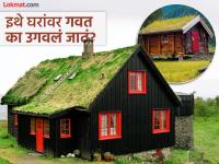 'या' देशात घराच्या छतांवर उगवलं जातं गवत, हिरव्या छतामागे दडलं आहे इंटरेस्टींग रहस्य - Marathi News | Norway traditional turf or green moss roofs know the reason | Latest jarahatke Photos at Lokmat.com