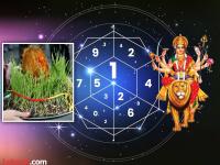 Numerology: ‘या’ ७ मूलांकांवर देवीची कृपा, सुख-समृद्धीचा लाभ; कामात यश, अचानक धनलाभ! - Marathi News | numerology navratri 2024 impact and effect on all mulank numerology number navratri utsav 2024 numerology in marathi | Latest bhakti Photos at Lokmat.com