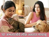 Numerology: अंकशास्त्र सांगतंय तुमच्या मनाची श्रीमंती! 'या' तारखेला जन्मलेले लोक असतात निसर्ग आणि प्राणीप्रेमी - Marathi News | Numerology: Numerology reveals the richness of your mind! People born on 'this' date are nature and animal lovers | Latest bhakti Photos at Lokmat.com