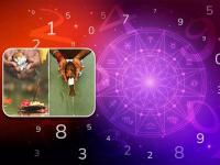 Numerology: ‘या’ ५ मूलांकांना पितृपक्षाची सांगता उत्तम, फायदेशीर काळ; धनवृद्धीचा शुभ योग! - Marathi News | numerology ank shastra in marathi these 5 birth date mulank people get benefits of money and success in end of pitru paksha 2023 | Latest bhakti Photos at Lokmat.com