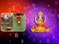 १०० वर्षांनी शुभ योगात सर्वपित्री अमावास्या २०२५: ६ मूलांकांचे ग्रहण सुटेल; पैसा-लाभ-वरदान! - Marathi News | 100 years after auspicious yoga on sarvapitri amavasya 2025 numerology these 6 mulank numerology number will get profit prosperity prestige | Latest bhakti Photos at Lokmat.com