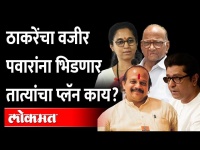 भारतऐवजी हिंदुस्तान... राज ठाकरेंनी का केला बदल? | Vasant More Raj Thackeray | Pune News