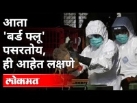 बर्ड फ्लू वेगाने पसरत असल्यामुळे त्याची लक्षणे कोणती आहेत? Bird Flu In Rajasthan | India News