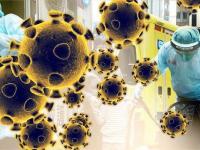 जगभरात कोरोना व्हायरसने किती घेतले बळी? जाणून घ्या आकडेवारी - Marathi News | Coronavirus deaths latest data in india and from all round the world covid 19 death rate myb | Latest international Photos at Lokmat.com