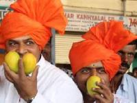 कोकणच्या राजाचा झिम्मा सुरू