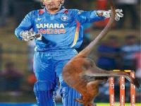 टीम इंडियाचा नाद करायचा नाय - सोशल मिडीया - Marathi News | Team India is not interested - Social media | Latest mumbai Photos at Lokmat.com