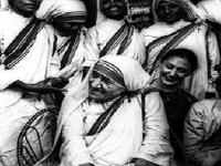 गुलाबाची कळी - Marathi News | Rose bud | Latest manthan Photos at Lokmat.com