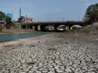इतिहासात प्रथमच कोरडी पडली गोदावरी - Marathi News | Godavari fell dry for the first time in history | Latest maharashtra Photos at Lokmat.com