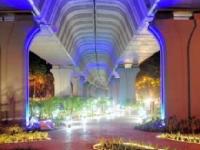 माटुंग्याच्या पुलाखाली अवतरली सुंदर बाग - Marathi News | Beautiful garden under the bridge of Matunga | Latest maharashtra Photos at Lokmat.com