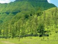 मुंबईजवळचे पावसाळी पिकनिक पॉईंट्स - Marathi News | Rainy Picnic Points Near Mumbai | Latest maharashtra Photos at Lokmat.com