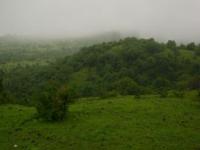 पिकनिक पॉईंट्स : म्हैसमाळ.. मराठवाड्याचे ‘महाबळेश्वर’ - Marathi News | Picnic points: Mhasamal .. Mahabaleshwar of Marathwada | Latest maharashtra Photos at Lokmat.com