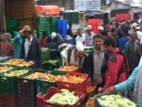 VIDEO - थेट मालविक्रीमुळे शेतक-यांना दुप्पट फायदा