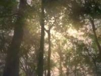 रिओ ऑलिंपिक 2016 स्पर्धेचा ट्रेलर लाँच