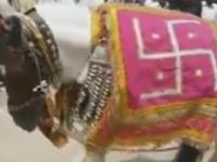 व्हिडीओ- संतनगरीत रंगला अनुपम्य सोहळा