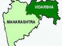 स्वतंत्र विदर्भासाठी 56.7 टक्के सहभागी प्रतिकूल - Marathi News | 56.7 percent participants for independent Vidarbha are unfavorable | Latest maharashtra Photos at Lokmat.com
