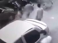 VIDEO: अरे बापरे ! कारमधून गाईचं अपहरण