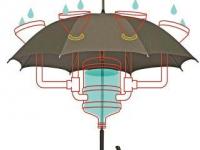 गूगलची दिमागवाली विज्ञानयात्रा - Marathi News | Google's Brain Sciences | Latest oxygen Photos at Lokmat.com